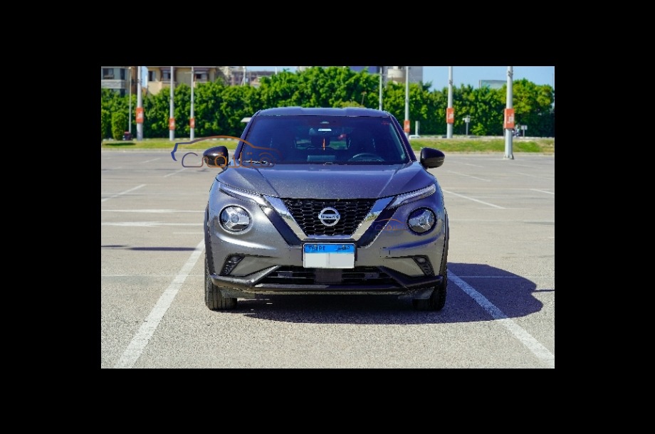 كروز الامارات