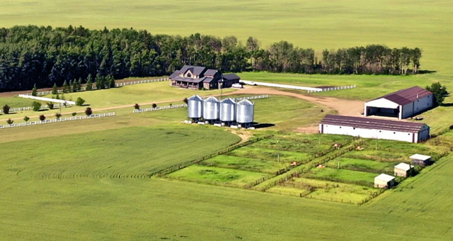 Farms for sale
